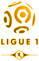 Pronostics sur la Ligue 1 de football française